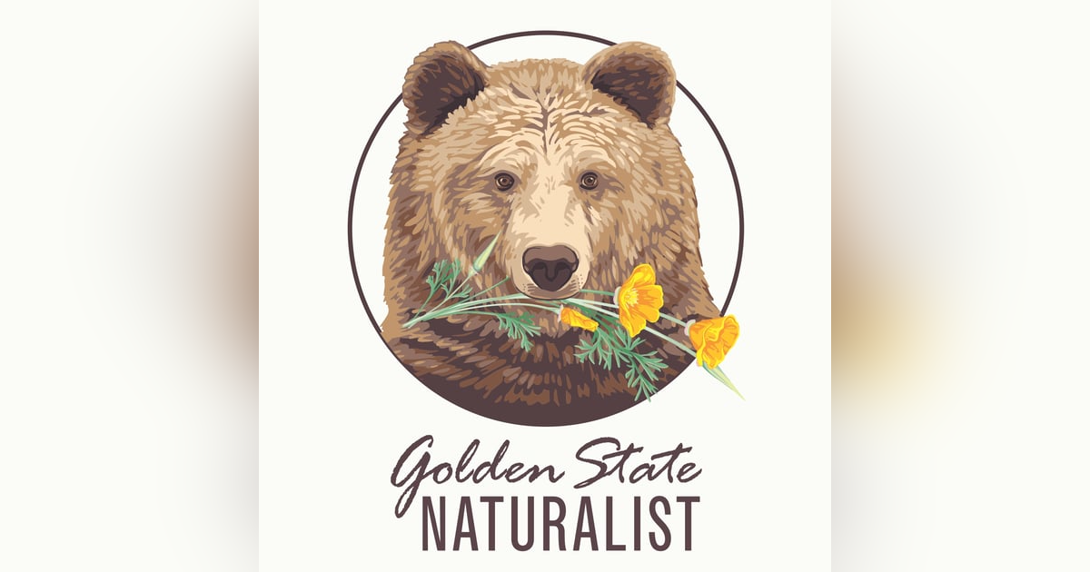 7 Ways to Connect with Nature this Year (2024 REPLAY) 7 Ways to Connect with Nature this Year (2024 REPLAY)