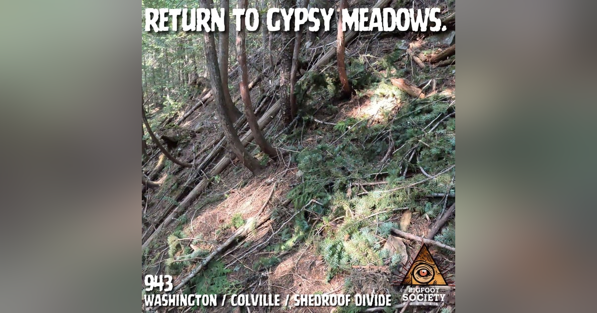 Sasquatch is Watching at Gypsy Meadows! | Washington Sasquatch is Watching at Gypsy Meadows! | Washington