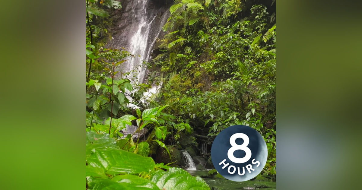 Waterfall White Noise and Nature Ambience | 8 Hour Sleep Sounds Waterfall White Noise and Nature Ambience | 8 Hour Sleep Sounds