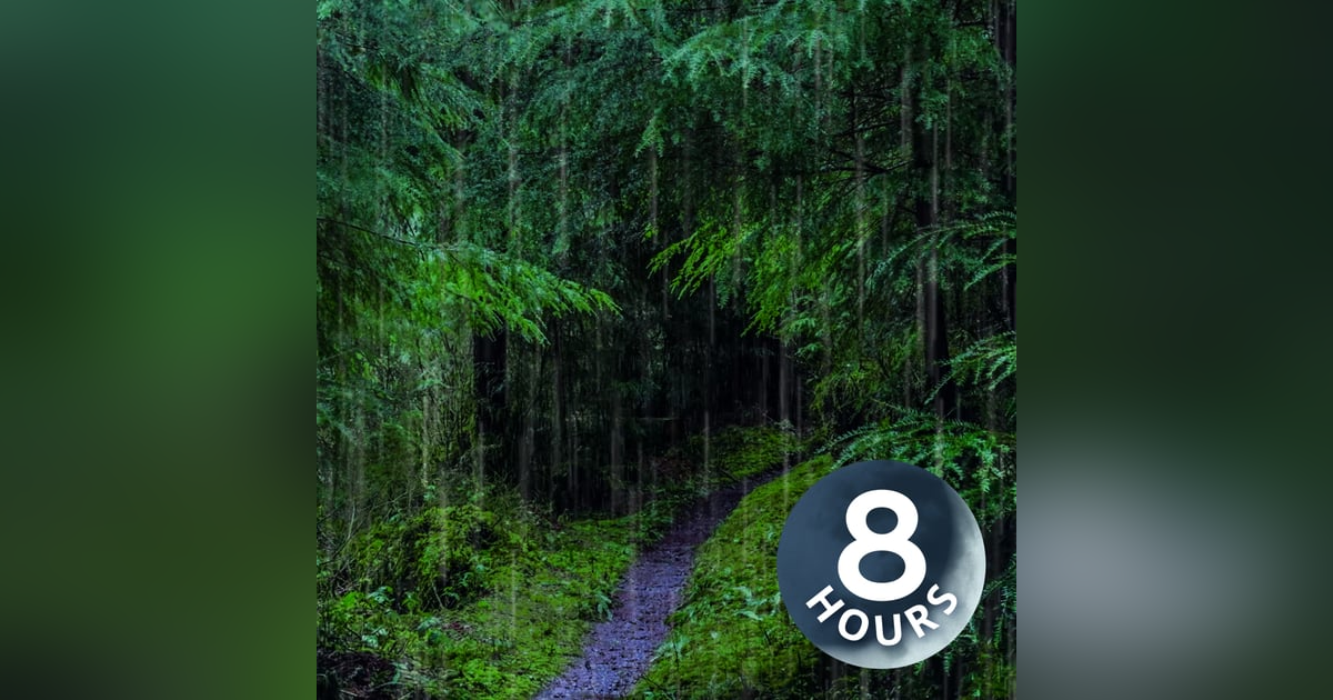 Rain Sounds for Sleep in Relaxing Rainforest | 8 Hours Rain Sounds for Sleep in Relaxing Rainforest | 8 Hours