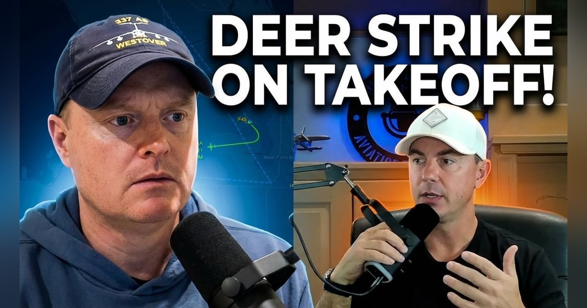 ExecJet 901: Citation Latitude vs. 4 Deer (ATC Breakdown) ExecJet 901: Citation Latitude vs. 4 Deer (ATC Breakdown)