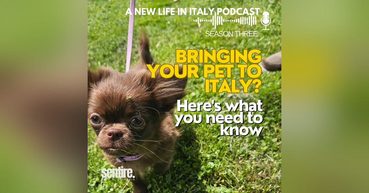 Bringing Your Pet to Italy? Here’s What You Need to Know Bringing Your Pet to Italy? Here’s What You Need to Know