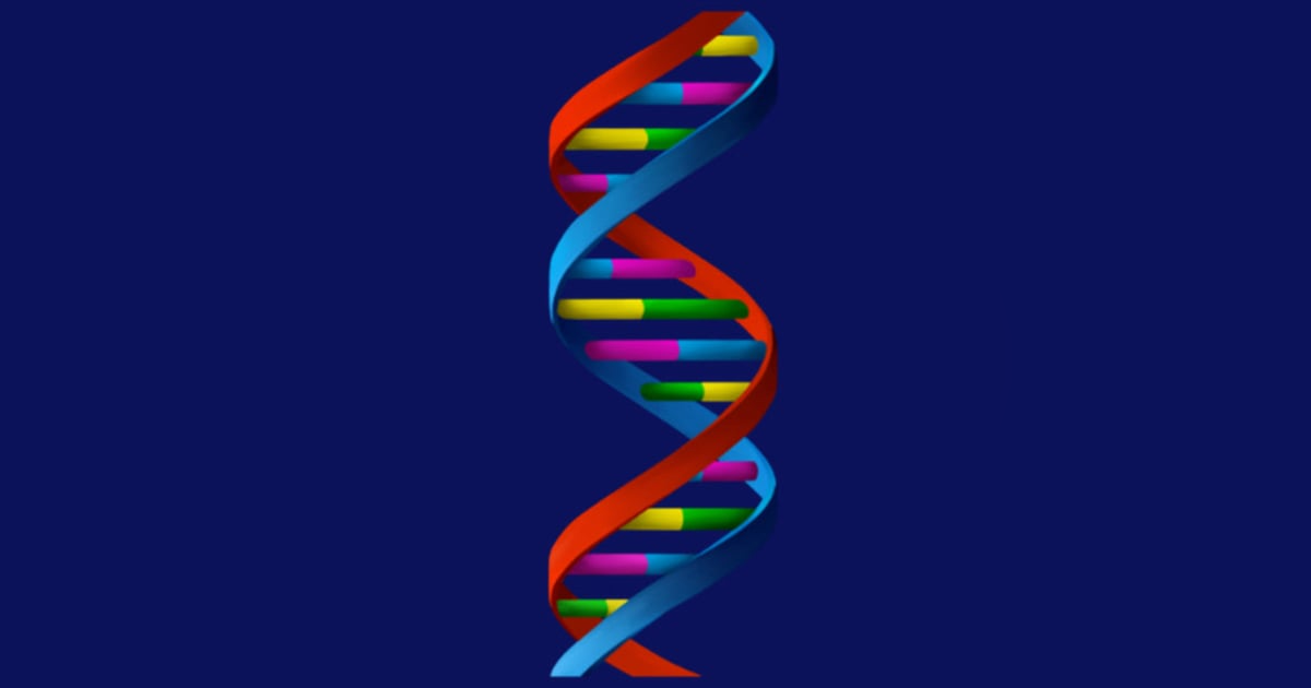DNA, Ancestry, Roots, Databases: The Darkside to your Christmas present. DNA, Ancestry, Roots, Databases: The Darkside to your Christmas present.