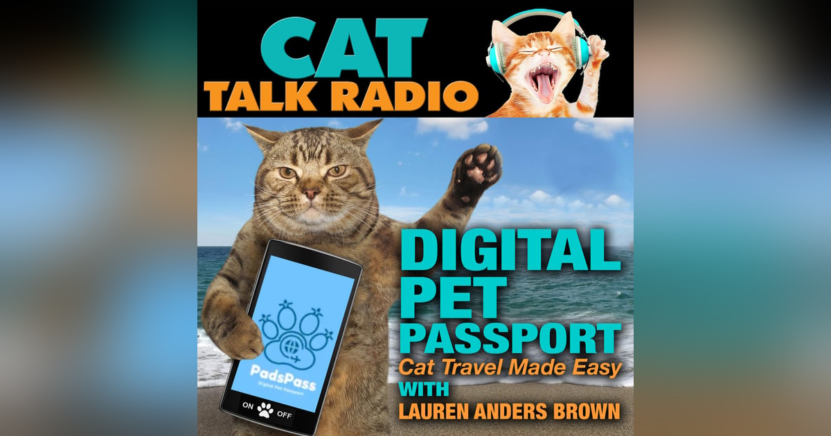 Traveling with Cats Just Got Easier: Lauren Anders Brown & the Power of PadsPass Traveling with Cats Just Got Easier: Lauren Anders Brown & the Power of PadsPass