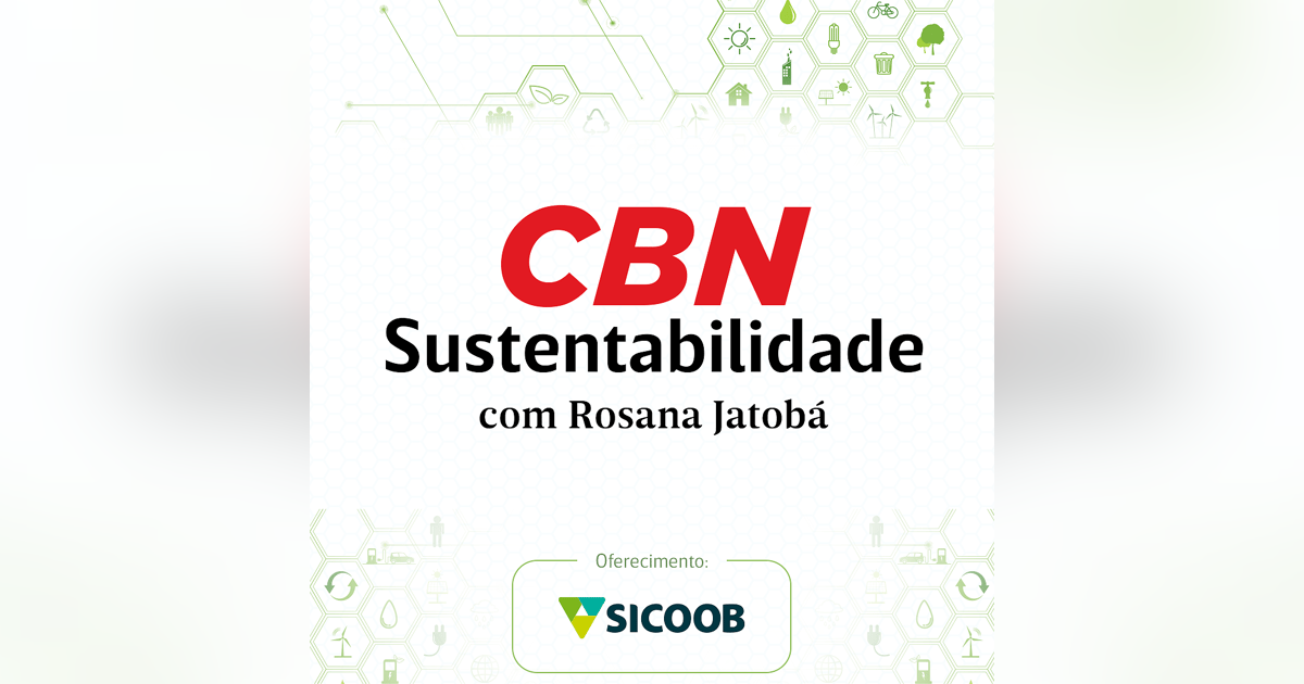 Reflorestamento como estratégia de negócio Reflorestamento como estratégia de negócio