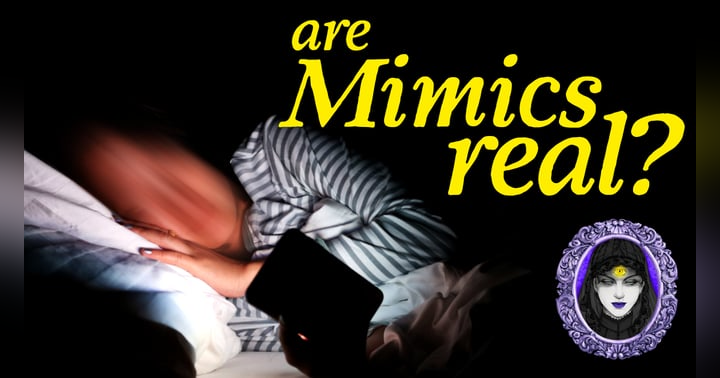image for Are Mimics Real?