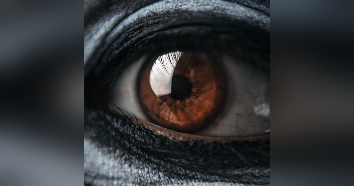 11 Lessons They Never Taught in School 11 Lessons They Never Taught in School