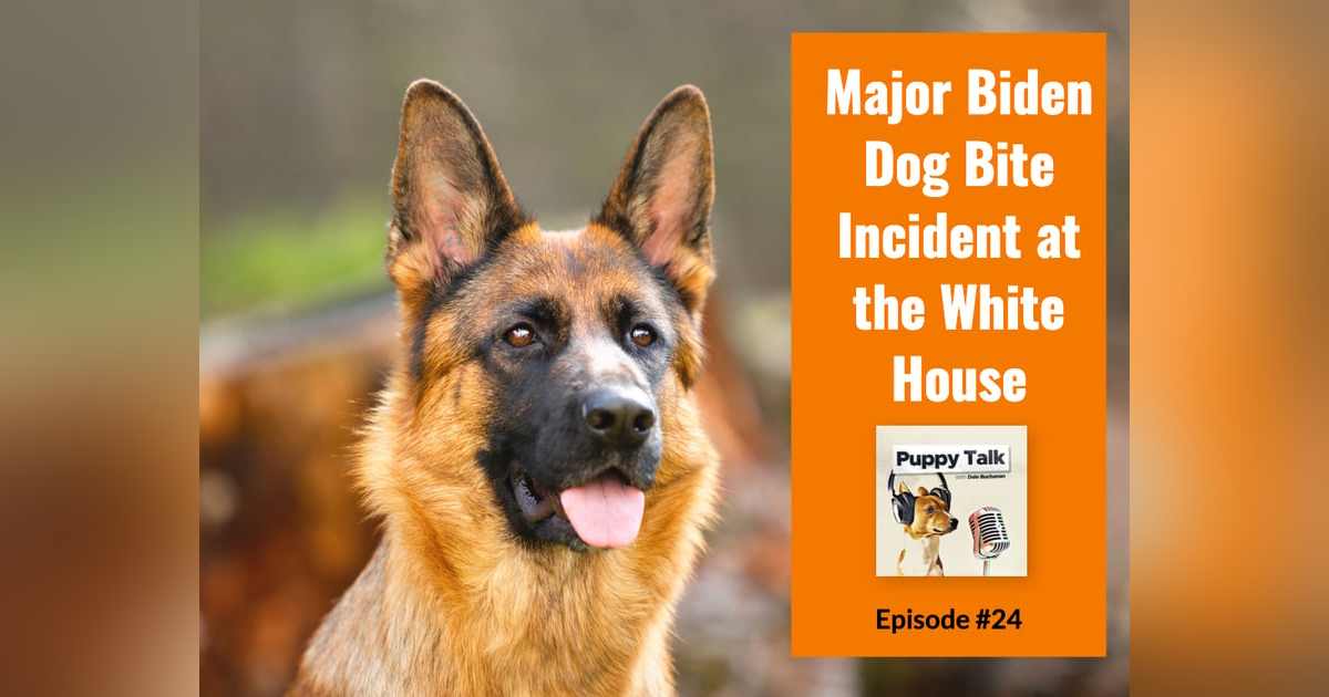 Major Biden Dog Bite Incident at the White House Major Biden Dog Bite Incident at the White House