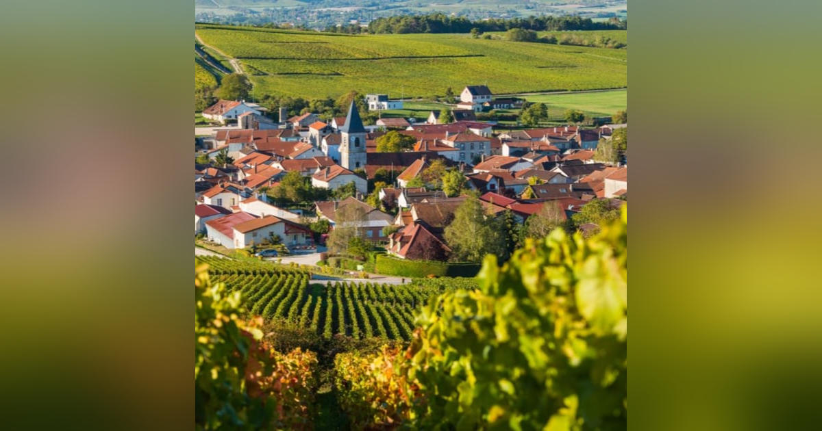 Aftermarket Bubbles: The Story of Champagne (Part 1) - with Jenz Aftermarket Bubbles: The Story of Champagne (Part 1) - with Jenz