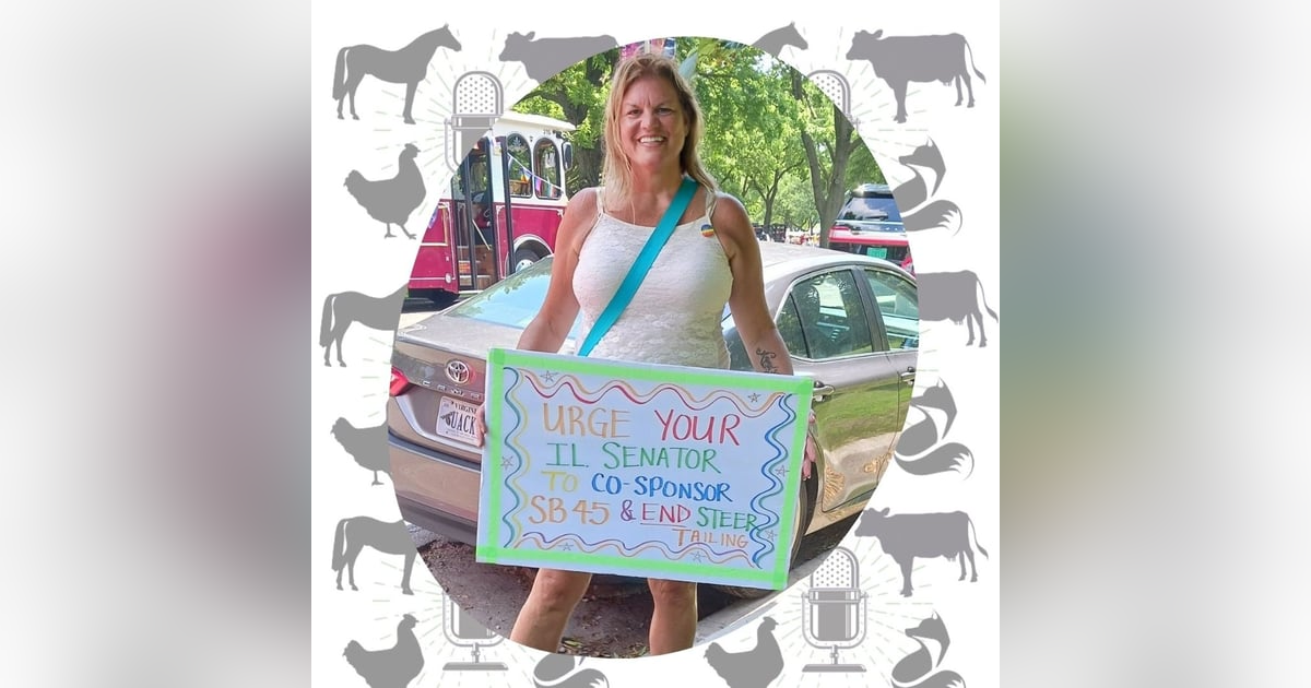 Inside Rodeos: The Violence of Steer Tailing Inside Rodeos: The Violence of Steer Tailing