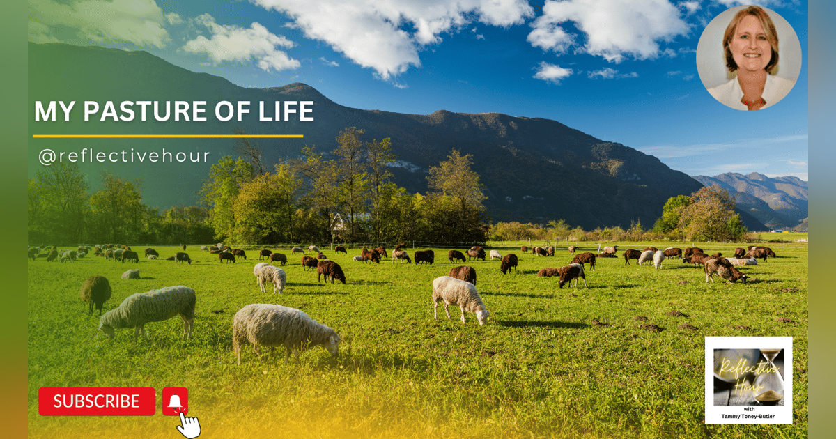 My Pasture of Life My Pasture of Life