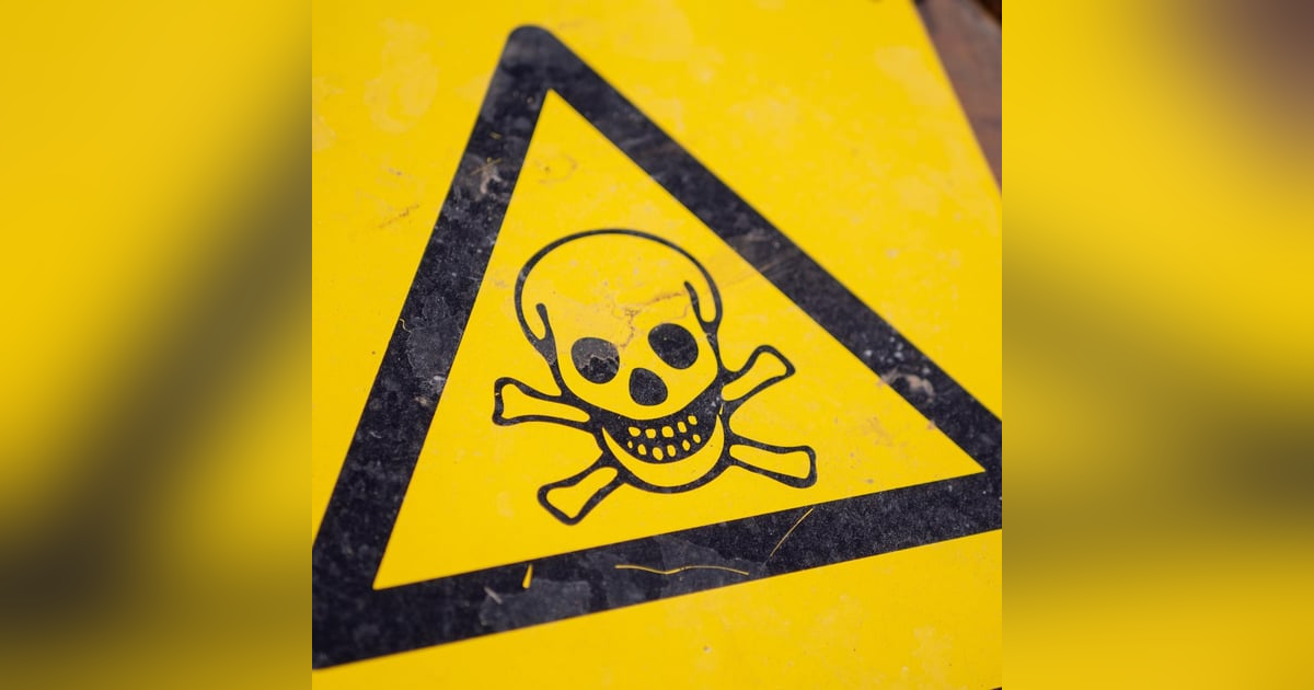 The Wolf in Sheep's Clothing Part 2 The Wolf in Sheep's Clothing Part 2