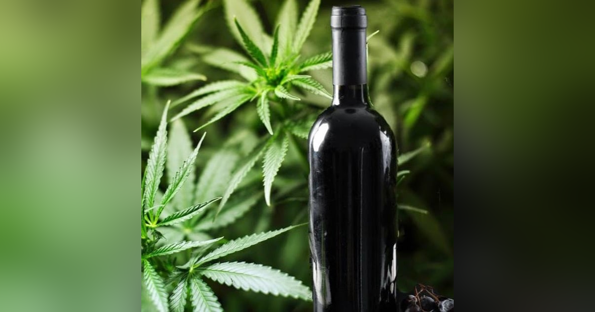 Natural Wine,Weed And Wine Natural Wine,Weed And Wine