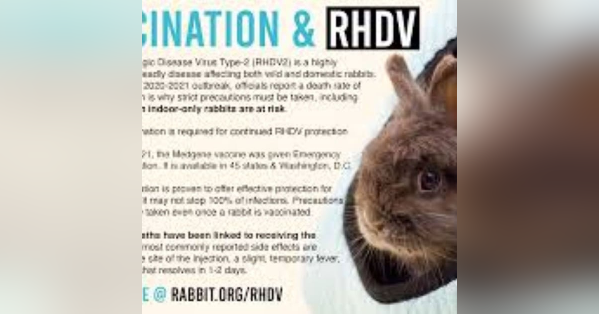 S6 E4: Little Bunny Foo Foo: The Story of Rabbit Hemorrhagic Disease Virus S6 E4: Little Bunny Foo Foo: The Story of Rabbit Hemorrhagic Disease Virus