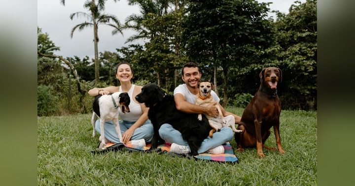 image for The Power of Human-Centered Partnerships in Business