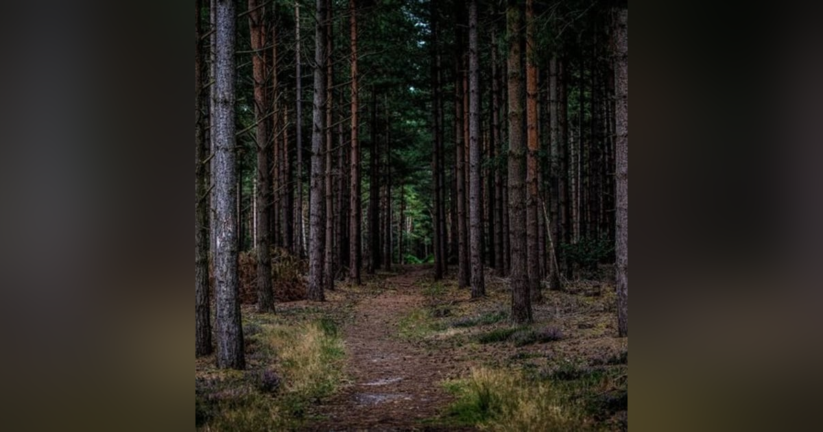 Historias de Miedo Marzo 22 de 2022 SE LO LLEVARON LOS GRISES Historias de Miedo Marzo 22 de 2022 SE LO LLEVARON LOS GRISES