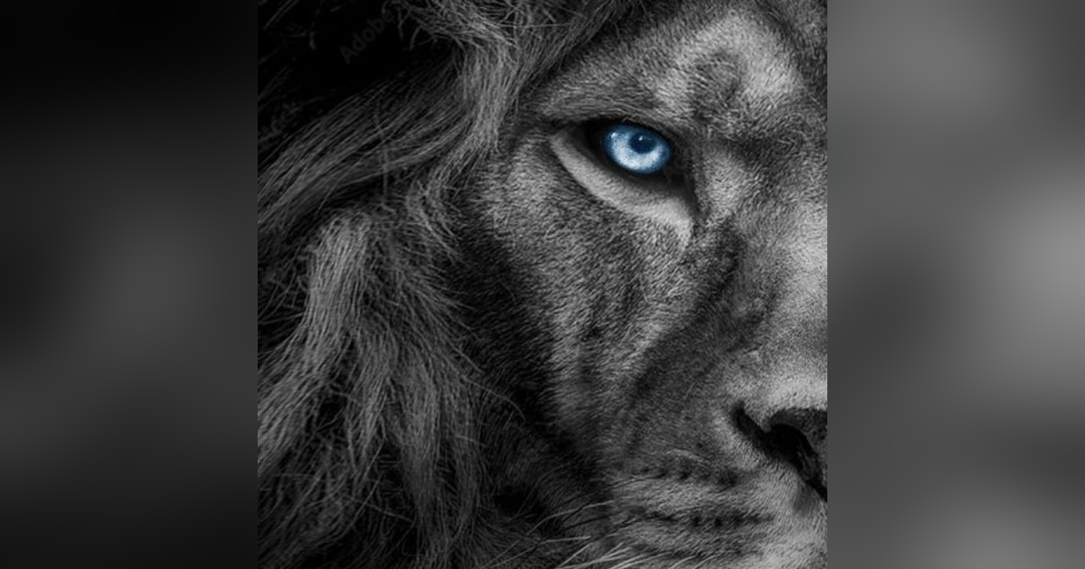 Increase Your INFLUENCE - IMPACT - INCOME Increase Your INFLUENCE - IMPACT - INCOME