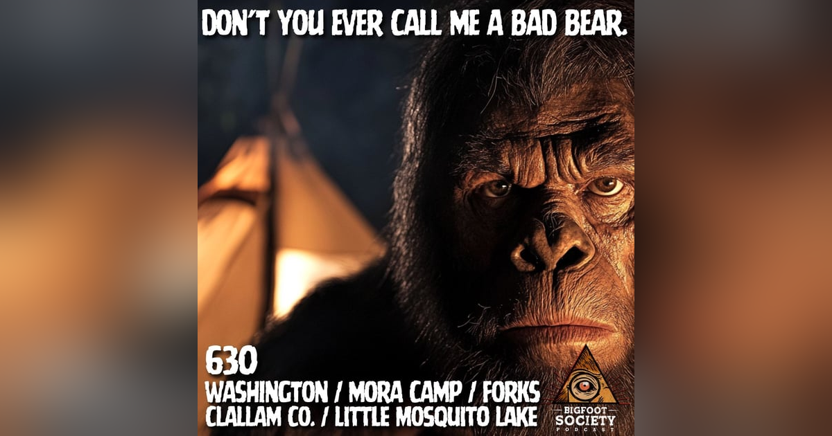 It Reached Into My Tent! | Washington It Reached Into My Tent! | Washington