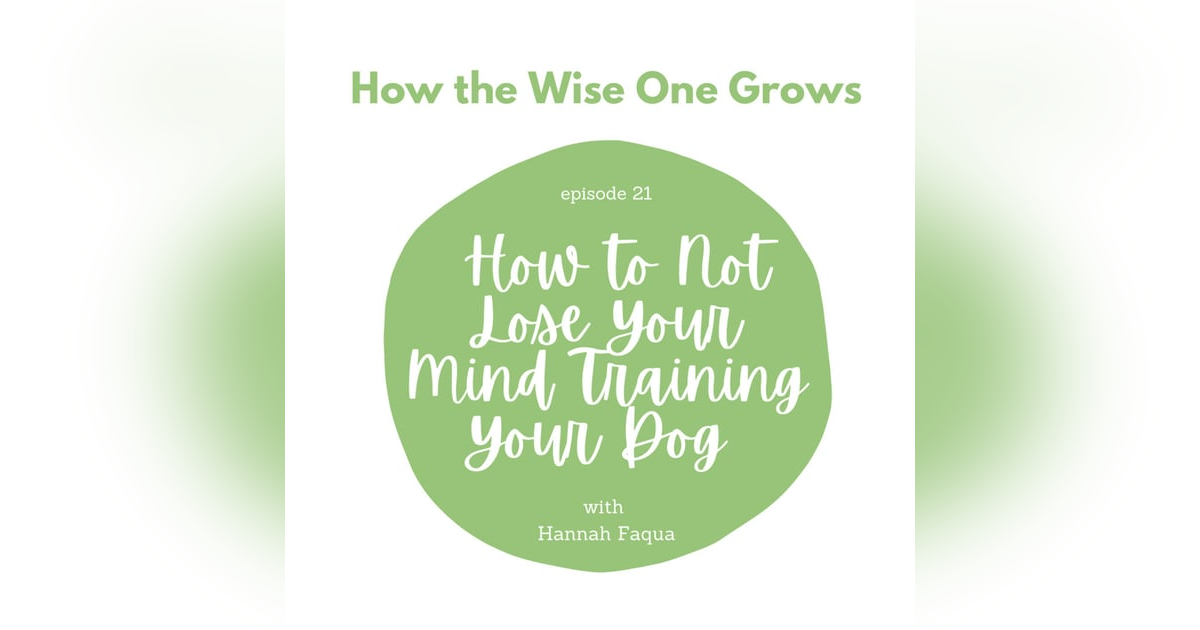 How to Not Lose Your Mind Training Your Dog with Hannah Faqua (21) How to Not Lose Your Mind Training Your Dog with Hannah Faqua (21)