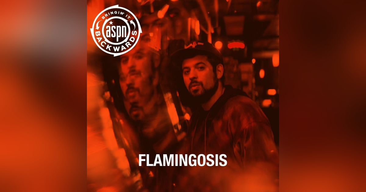 Interview with Flamingosis Interview with Flamingosis