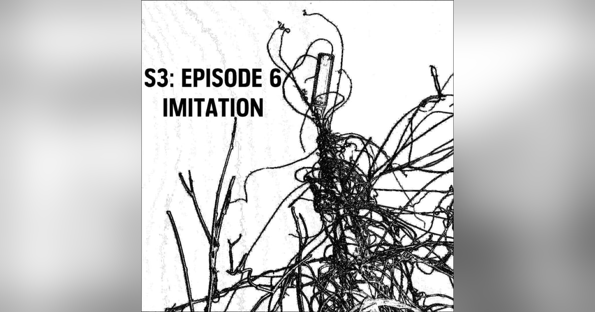 S3: E06 - Imitation S3: E06 - Imitation