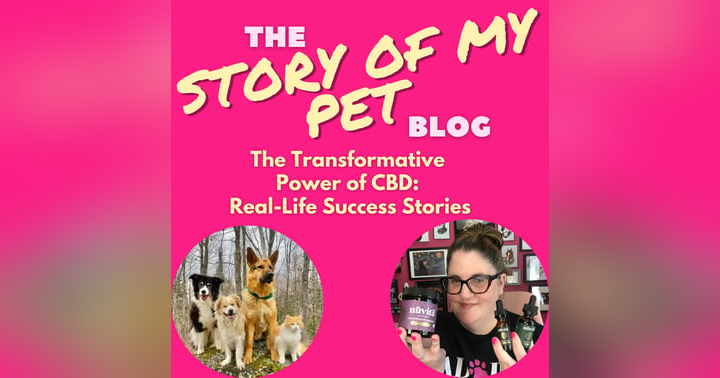 image for The Transformative Power of CBD: Real-Life Success Stories