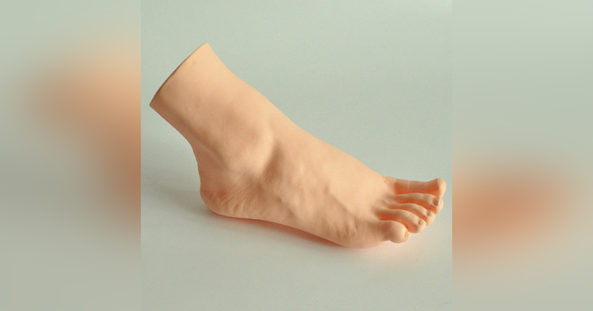 Salish Sea Human Foot Discoveries Salish Sea Human Foot Discoveries