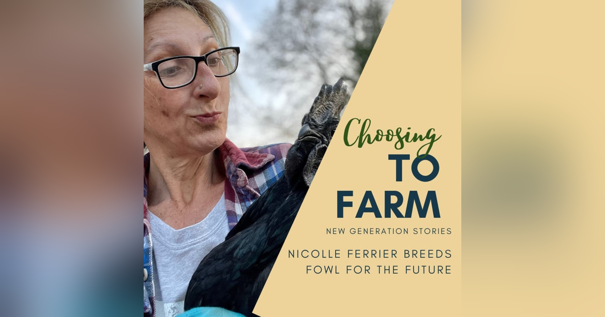 Nicolle Ferrier Breeds Fowl for the Future Nicolle Ferrier Breeds Fowl for the Future