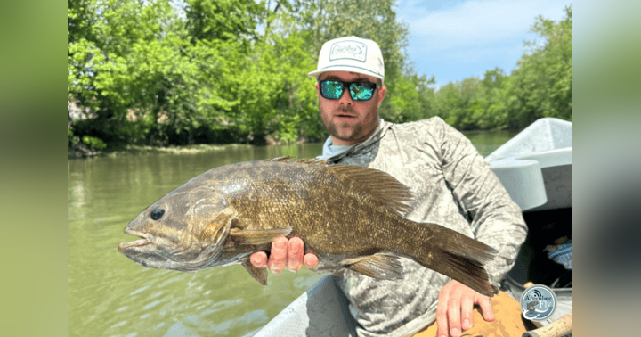 image for Smallmouth Bass on the Fly