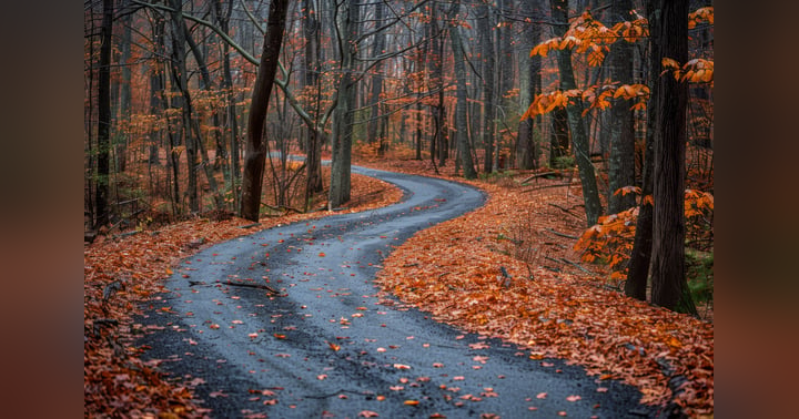 image for The Power of Transformation: Aligning Inside and Out