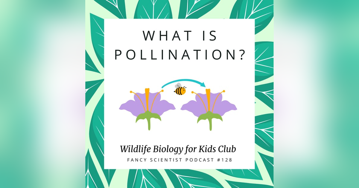 What is Pollination? | Wildlife Biology for Kids Club What is Pollination? | Wildlife Biology for Kids Club