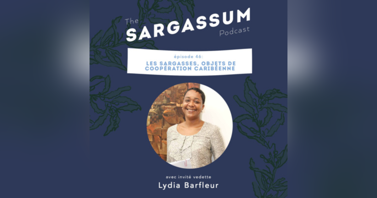 Ep 46 Les sargasses, objets de coopération caribéenne avec Lydia Barfleur Ep 46 Les sargasses, objets de coopération caribéenne avec Lydia Barfleur
