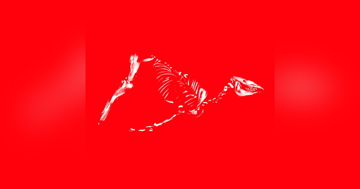 Encore: Upon a Red Horse, Part IV Encore: Upon a Red Horse, Part IV
