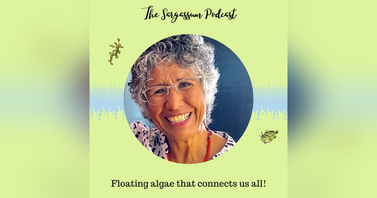 Episode 6: Connecting people working with Sargassum with Prof. Ligia Collado-Vides Episode 6: Connecting people working with Sargassum with Prof. Ligia Collado-Vides