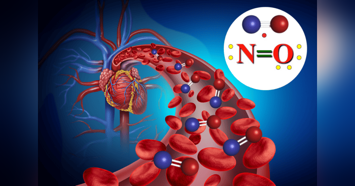 image for Heart disease severity may depend on nitric oxide levels