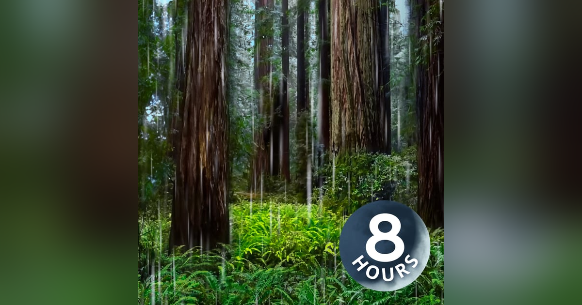 Rainstorm in Redwood Forest Helps You Sleep | 8 Hour Rain Sounds for Sleeping Rainstorm in Redwood Forest Helps You Sleep | 8 Hour Rain Sounds for Sleeping