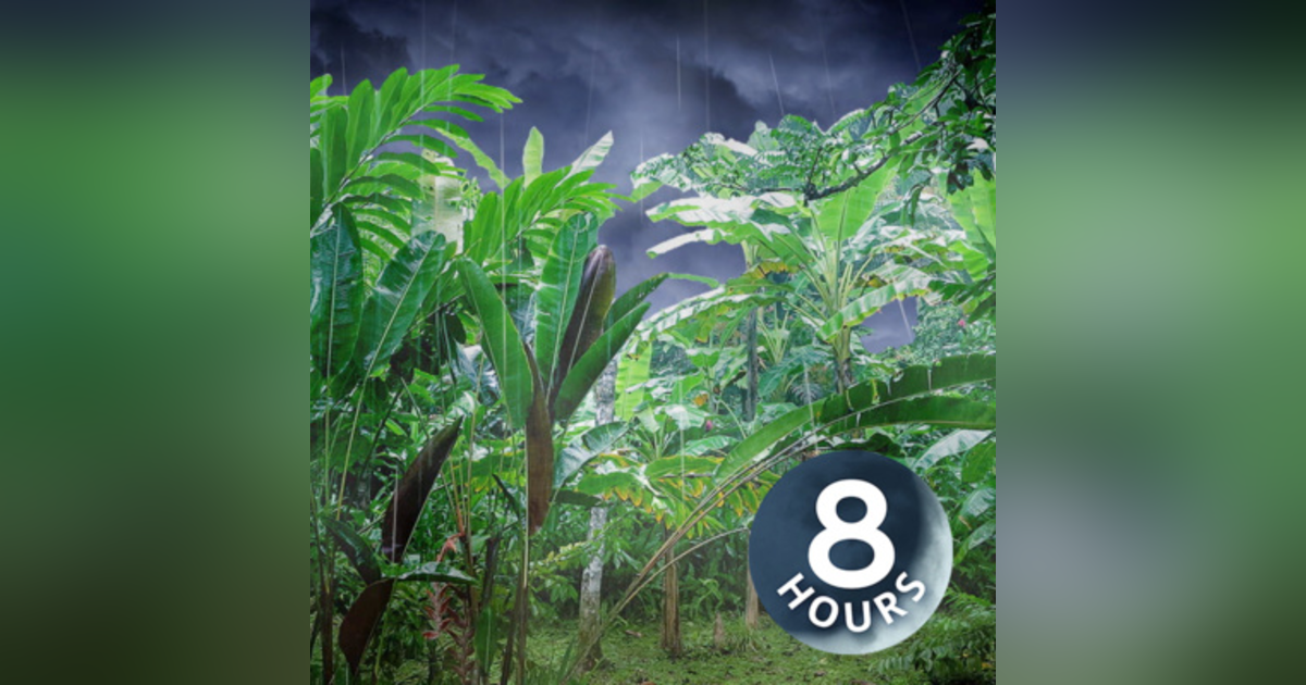 Rain Downpour 8 Hours | Sleeping Is Easier with Rainstorm Nature Audio Rain Downpour 8 Hours | Sleeping Is Easier with Rainstorm Nature Audio