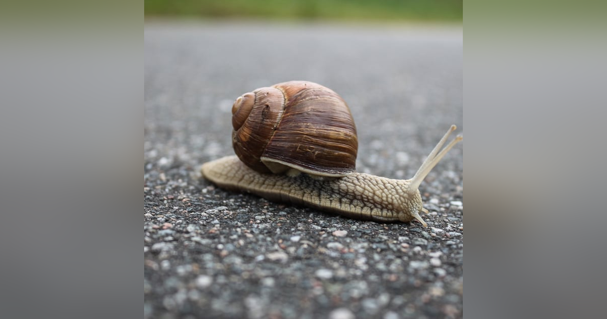 Seven reasons why your restore may slower than your backup Seven reasons why your restore may slower than your backup