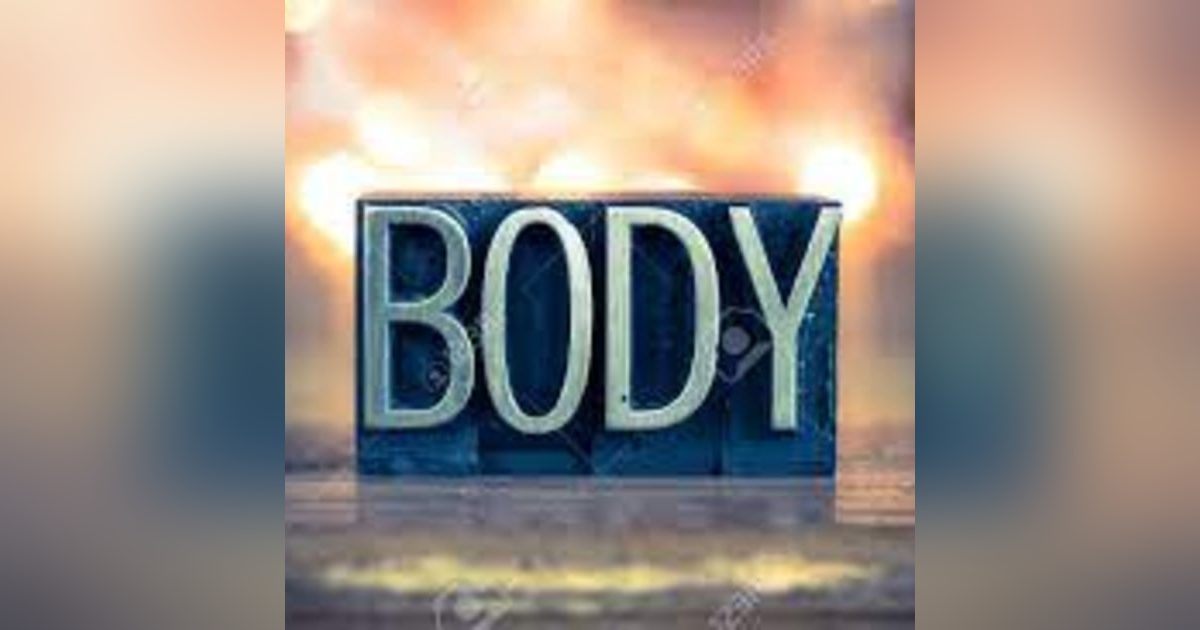 BODY (COMMERCIAL) BODY (COMMERCIAL)