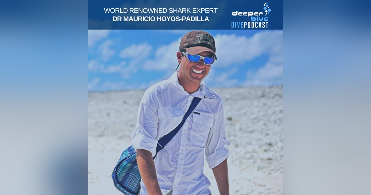 Dr Mauricio Hoyos-Padilla on that time he got DEEP with sharks, and Mark Evans on not giving in to peer pressure Dr Mauricio Hoyos-Padilla on that time he got DEEP with sharks, and Mark Evans on not giving in to peer pressure
