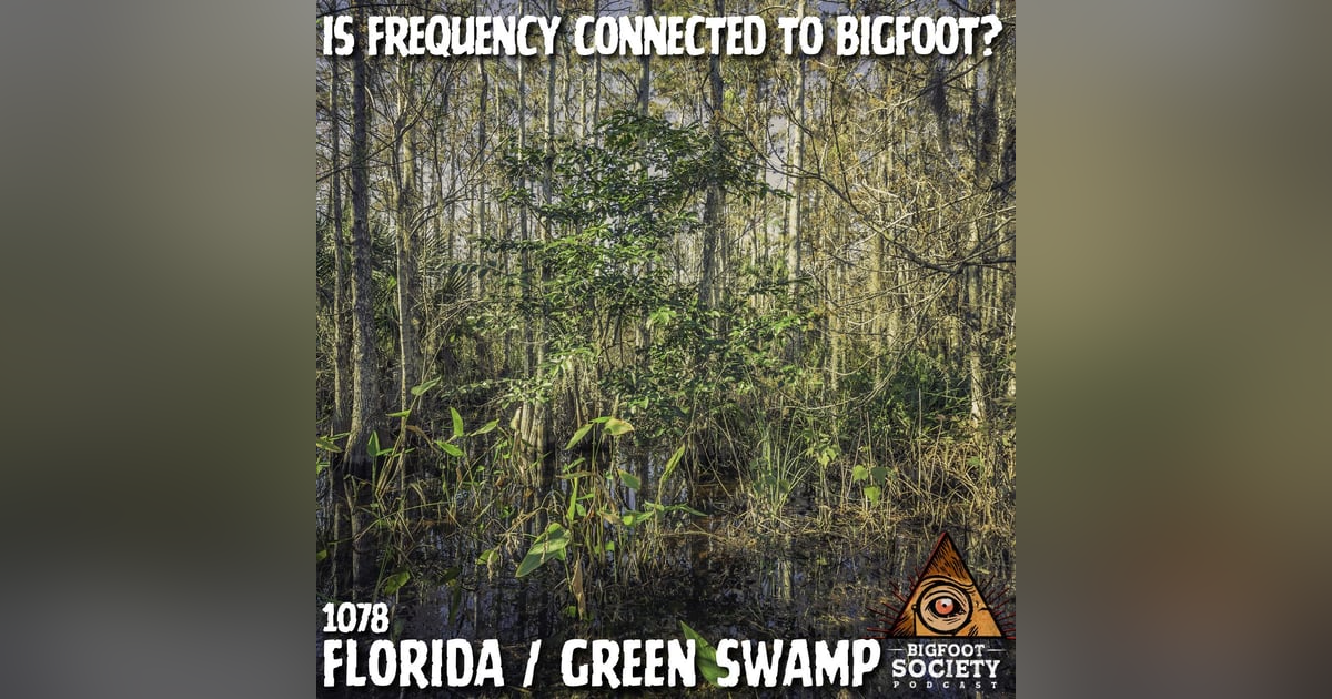 A Florida Researcher Shares Years Of Encounters In The Green Swamp With Sasquatch A Florida Researcher Shares Years Of Encounters In The Green Swamp With Sasquatch
