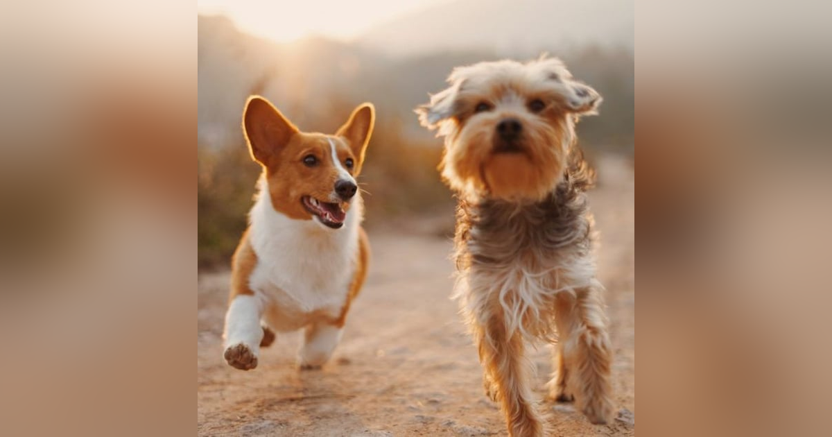 투자 혹한기…이 분야는 매년 투자 늘었다 투자 혹한기…이 분야는 매년 투자 늘었다