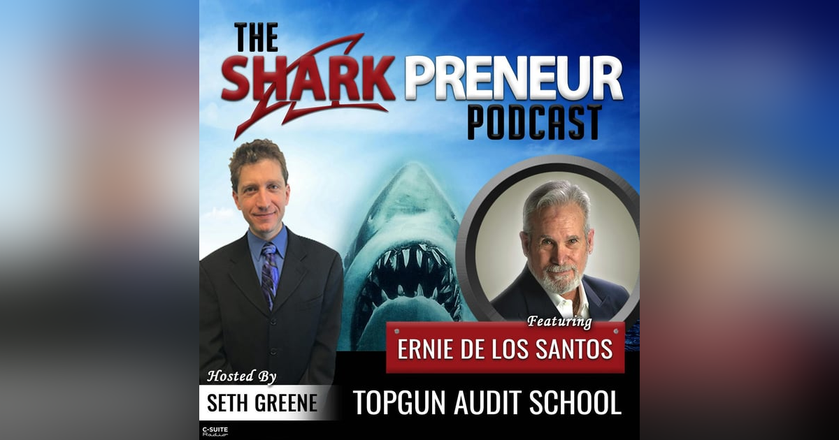 701: TopGun Audit School with Ernie de los Santos 701: TopGun Audit School with Ernie de los Santos