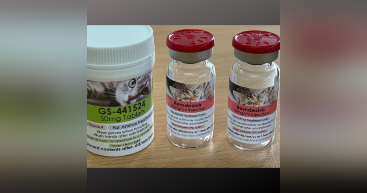 FIP update part 2: What if Remdisivir isn't an option? With Dr Sally Coggins. FIP update part 2: What if Remdisivir isn't an option? With Dr Sally Coggins.