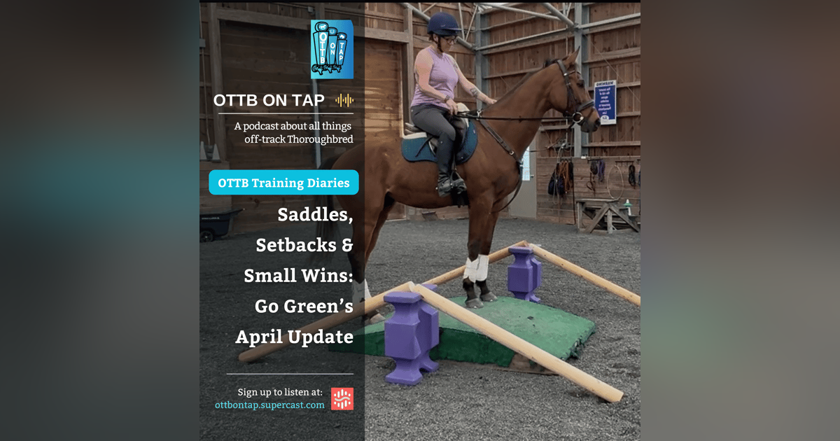 🎙 Preview: OTTB Training Diaries: Saddles, Setbacks & Small Wins – Go Green’s April Update 🎙 Preview: OTTB Training Diaries: Saddles, Setbacks & Small Wins – Go Green’s April Update