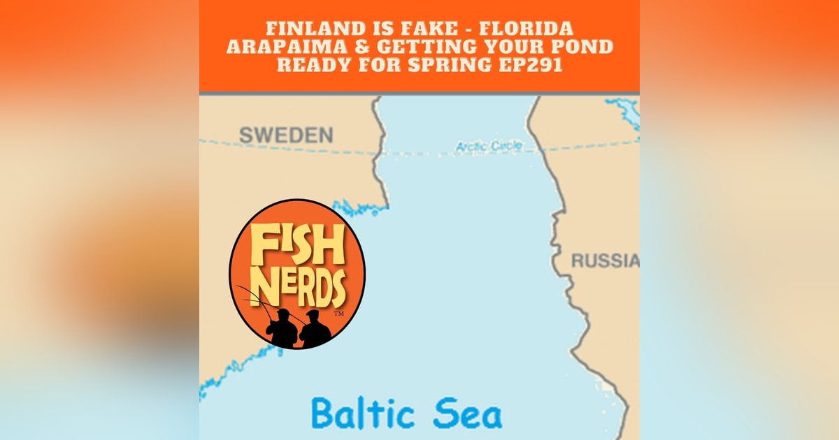 Finland Doesn't Exist Flroida Arapaima & Getting Ponds Ready for Spring EP291 Finland Doesn't Exist Flroida Arapaima & Getting Ponds Ready for Spring EP291