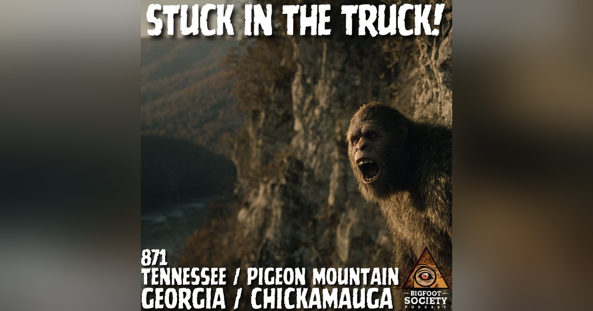 The Creature That Circled Us for Hours | Tennessee | Archives The Creature That Circled Us for Hours | Tennessee | Archives