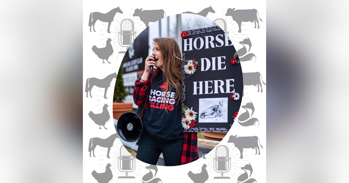 Insights from a New Generation Activist Insights from a New Generation Activist