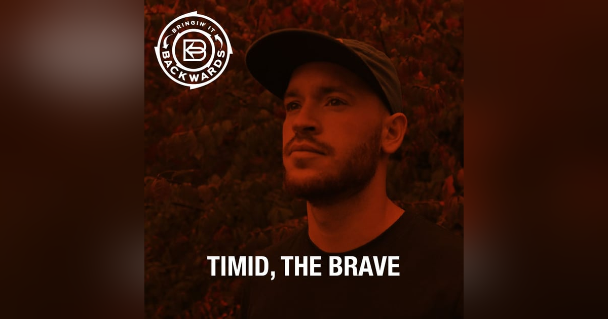 Interview with Timid, the Brave Interview with Timid, the Brave