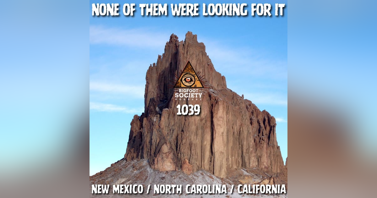 It Was 15 Feet Away… and Just Stood There It Was 15 Feet Away… and Just Stood There